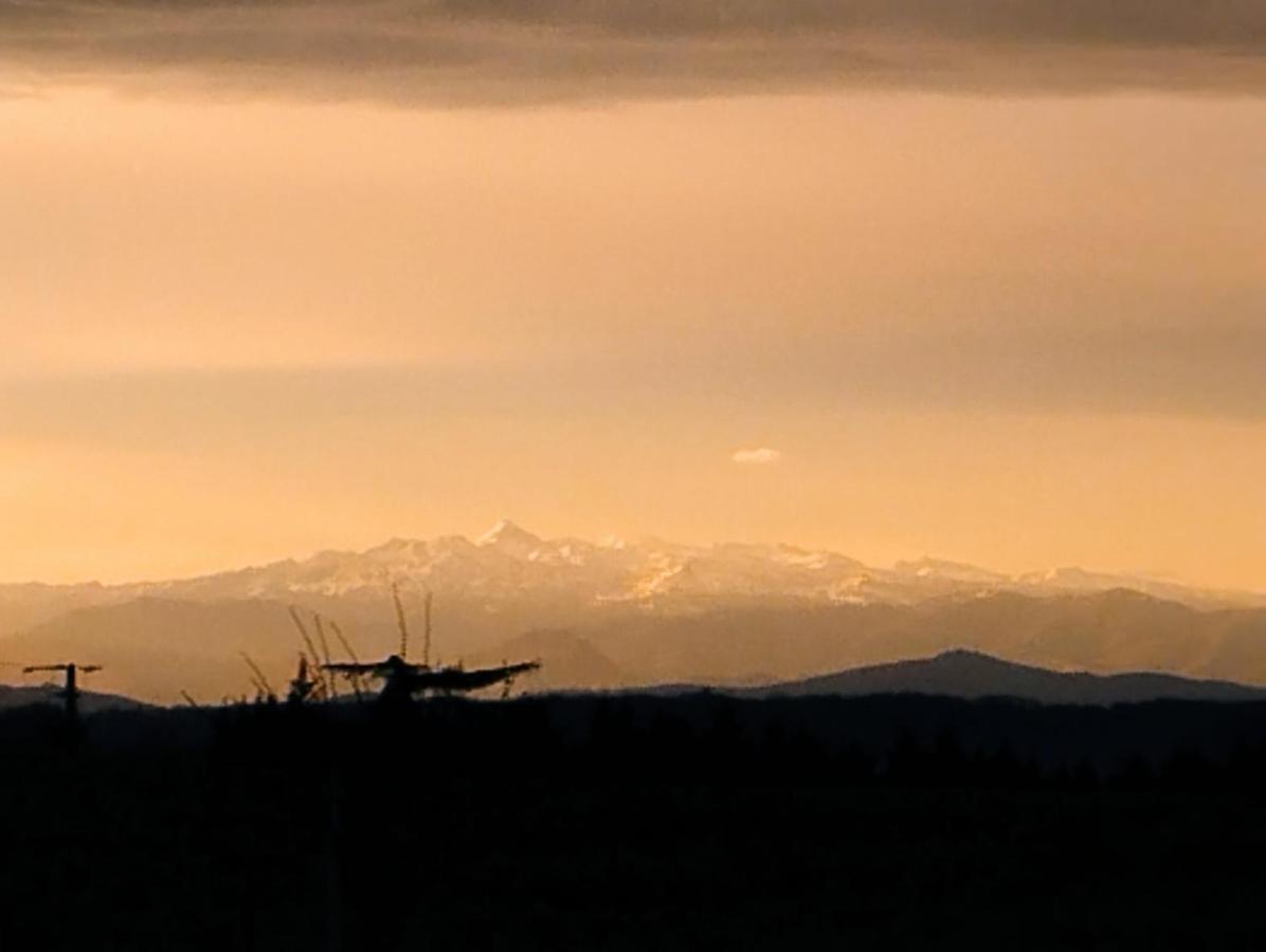 Appartement, Vue Sur Les Pyrenees Pouillon Экстерьер фото